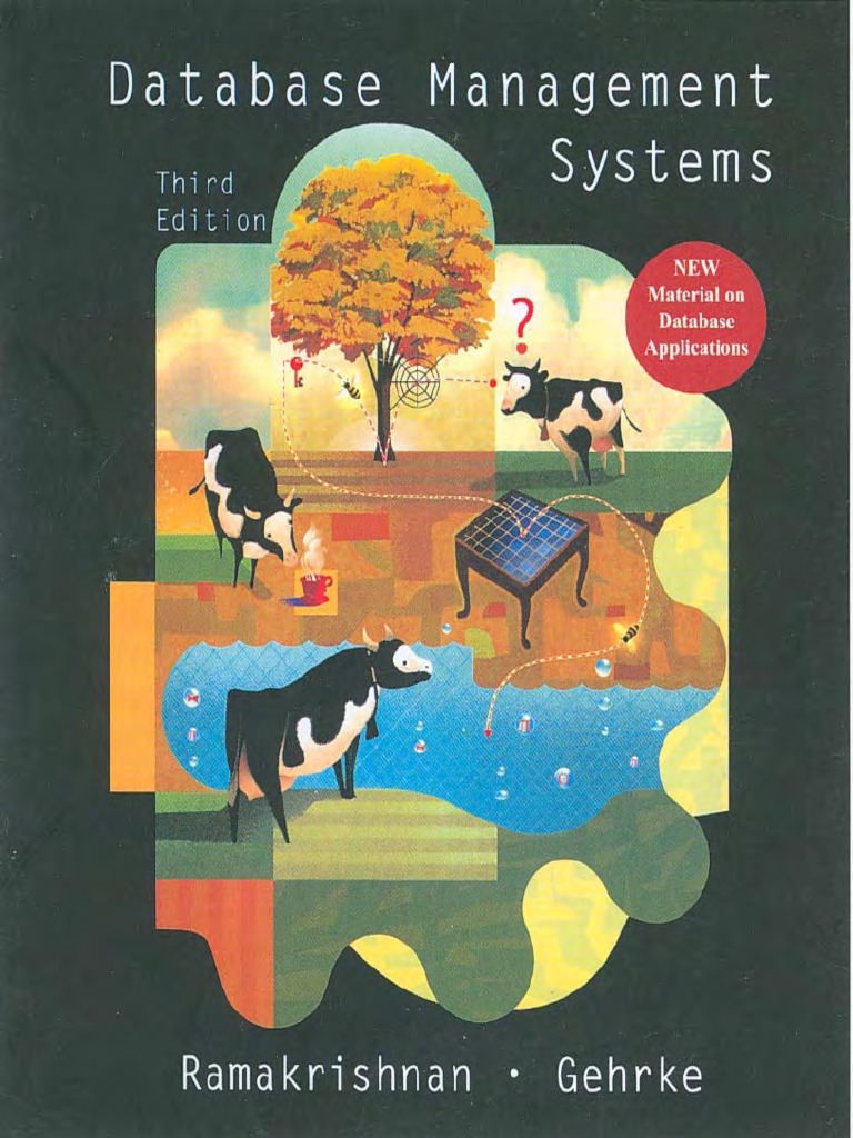 Database Management System 3rd, Ramakrishnan | PDF