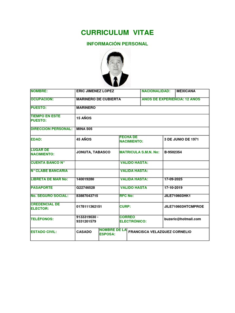 Curriculum vitae pdf image