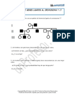  Ejercicios de Genes Ligados Al Cromosoma y 426