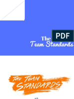 Team Standards: The Evolved