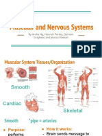 nervous and muscular systems