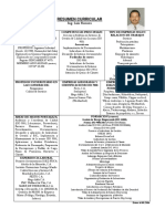 Resumen Sintetizado de Curriculum LR