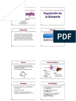 11 - Homeostasis Energetica PDF