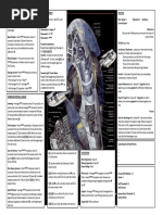 Triumph & Despair - Starship Layout (Firespray)