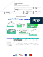 FT1 MVB3 Numeroscópio B