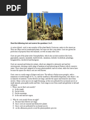 Cactus