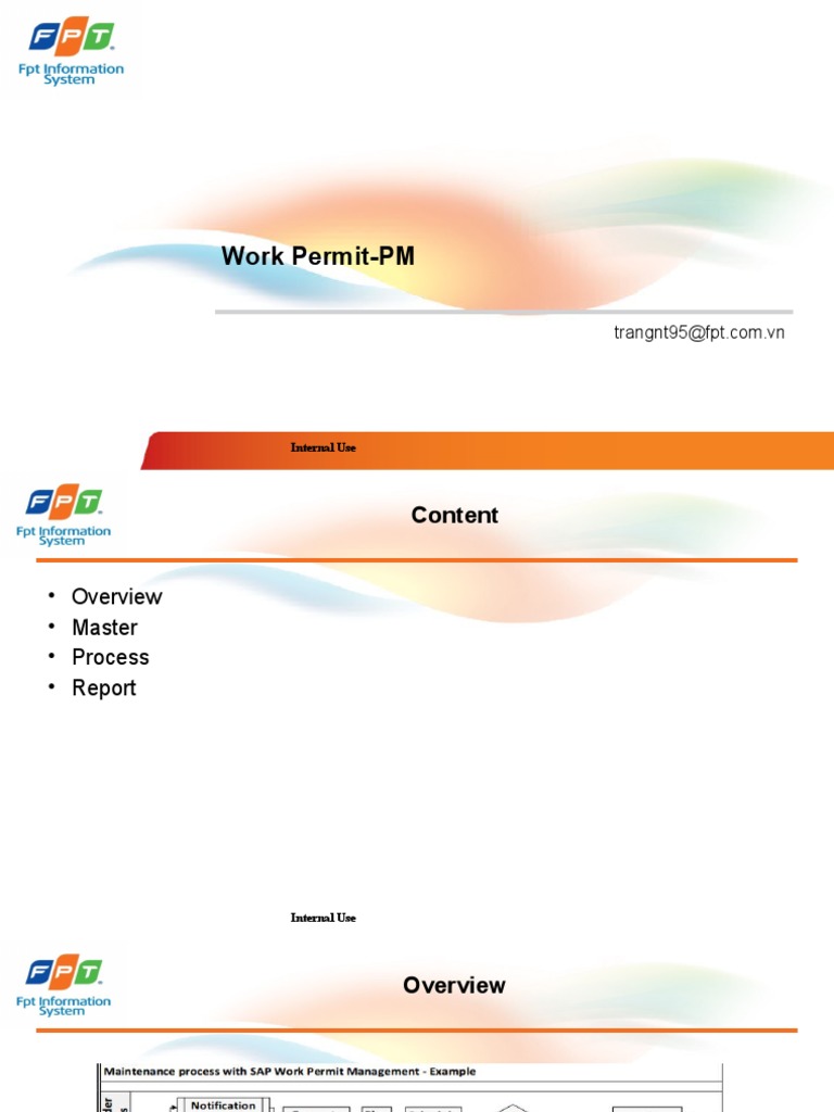 Work Permit Process Overview | PDF