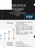 Struktur Tulang - Laurensius RK