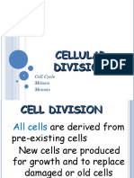 05 Mitosis and Meosis1