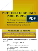 Prelegerea 3. Profilurile de Imagine