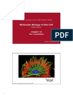 Alberts Molecular Biology of The Cell - CH16 - Cytoskeleton