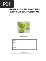 Download LAPORAN kuljar kentang by riska amelia SN336090273 doc pdf