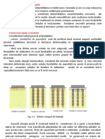 Intruziuni Rigide - Generalitati PDF