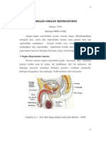 ORGAN REPRODUKSI