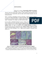 217491401-Curs-1-MD-IV-Odontogeneza (1).pdf