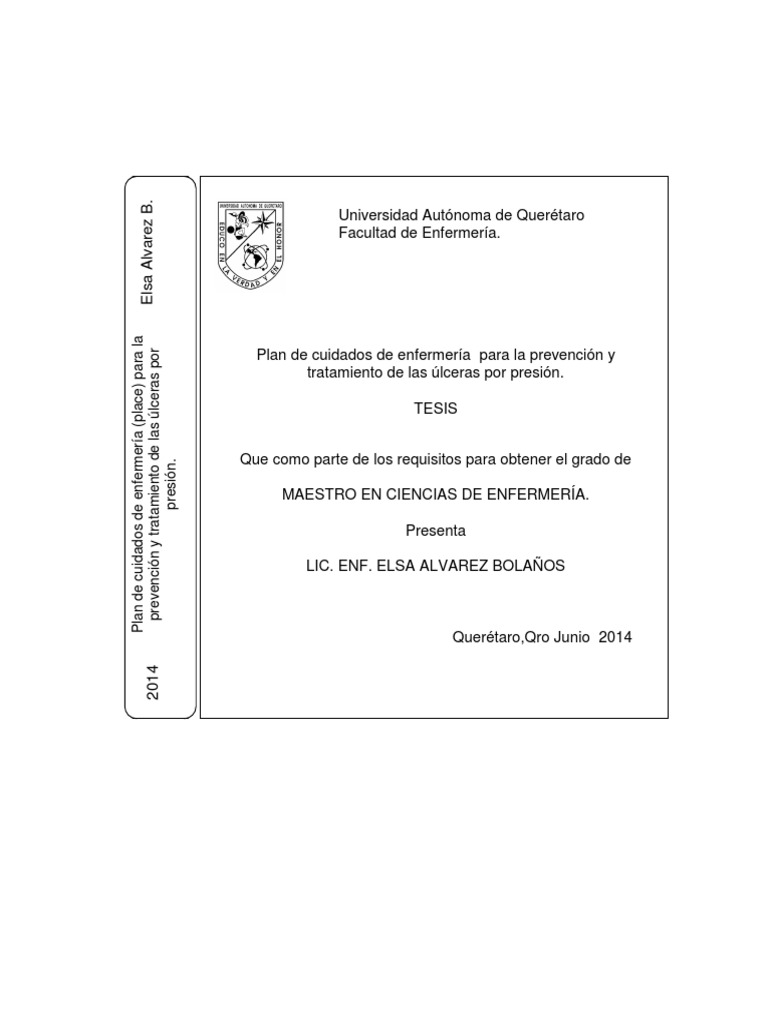 Plan de Cuidados para Úlceras por Presión | PDF | Enfermería | Ciencias ...
