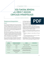 30-Patologia_tumoral_benigna_del_cervix_y_lexiones_cervicale_intraepiteriales.pdf