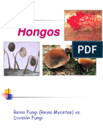 Hongos: Características, clasificación y reproducción