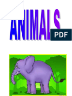 Animals