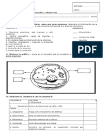 Prueba N°1Celula 1medio