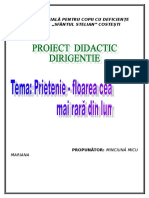 PROIECT DIDACTIC DIRIGENTIE.doc