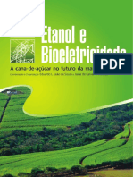Livro - etanol - bioeletricidade.pdf
