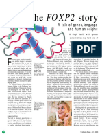 FOXP2 Story