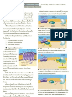 Additional Sheet 01 - Membrane Receptor