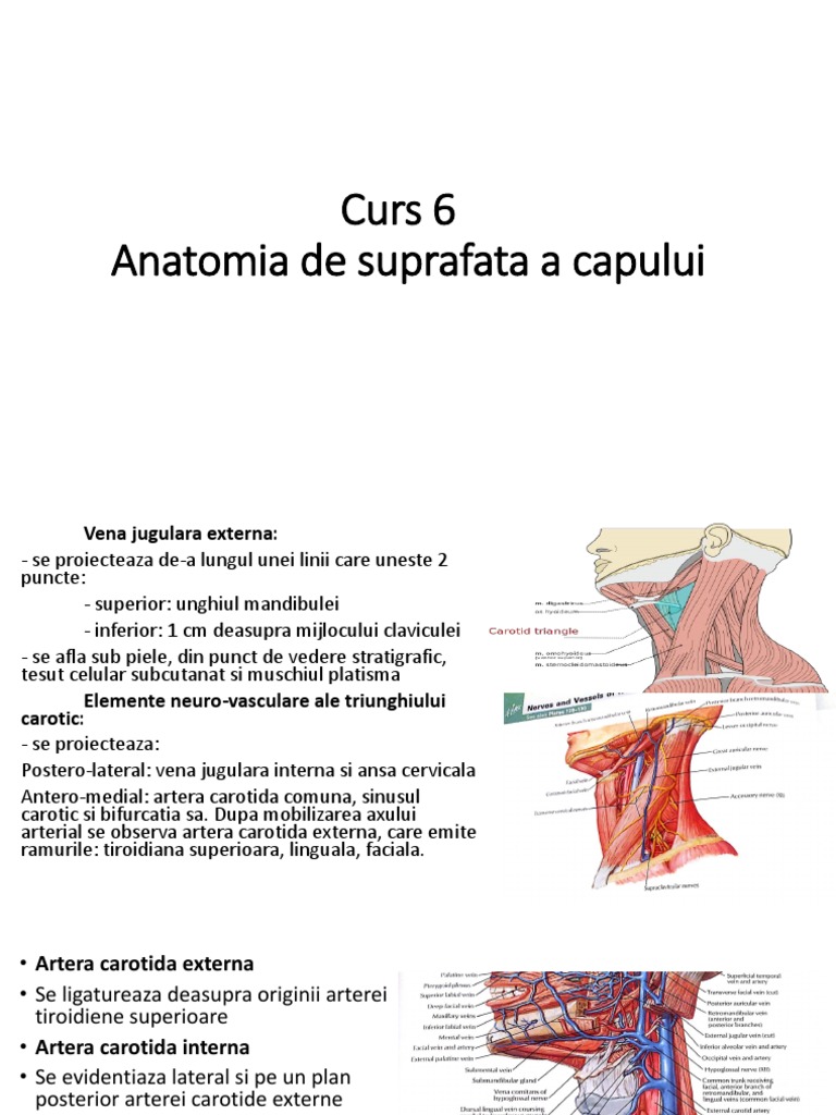 Curs 6 | PDF
