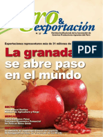 Revista Agro & Exportación N° 37