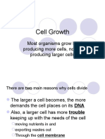 Cell Division