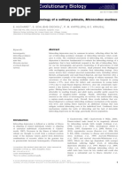 The inbreeding strategy of a solitary primate, Microcebus murinus