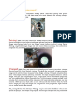 Apa Sih Beda Dari Petrologi Dan Petrografi