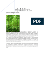 Sintomas de Dificiencia de Nutrientes de Las Plantas Forestales