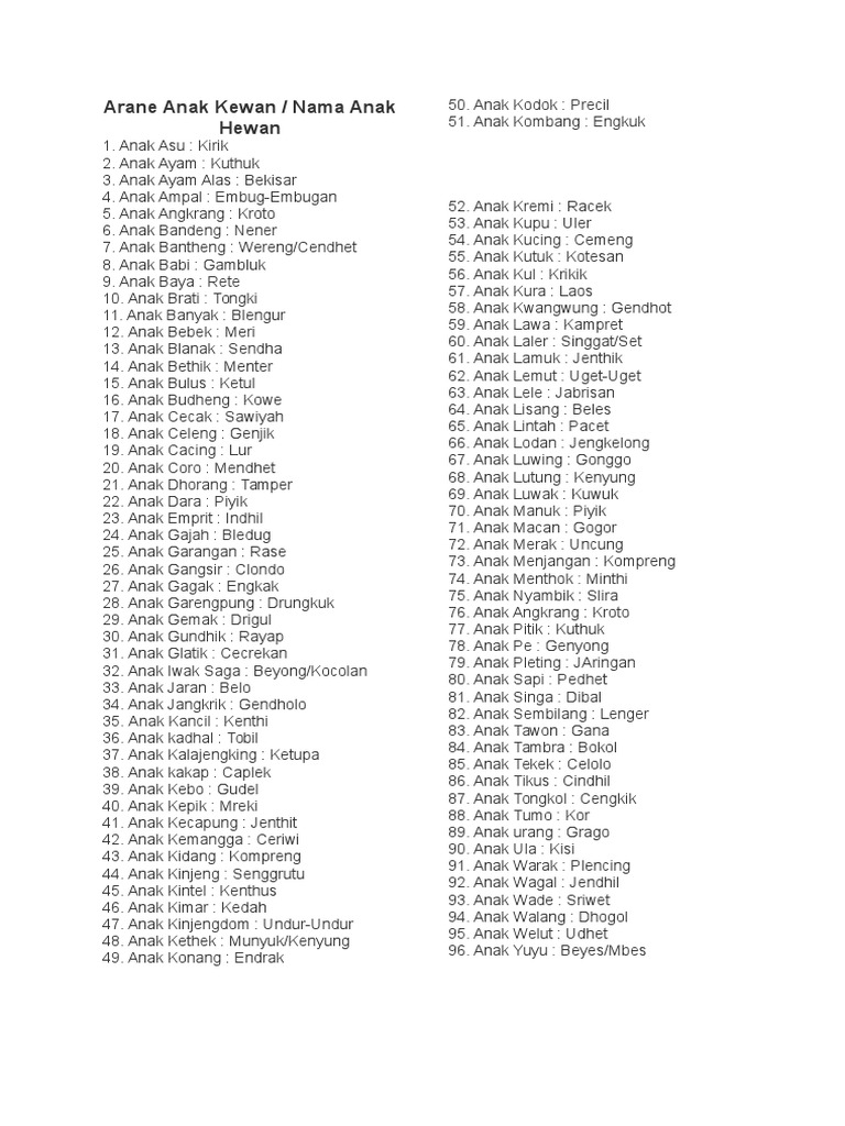 Arane Anak Kewan