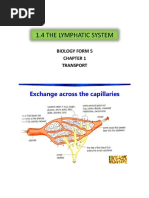 Chapter 4 Lipid Mind Map