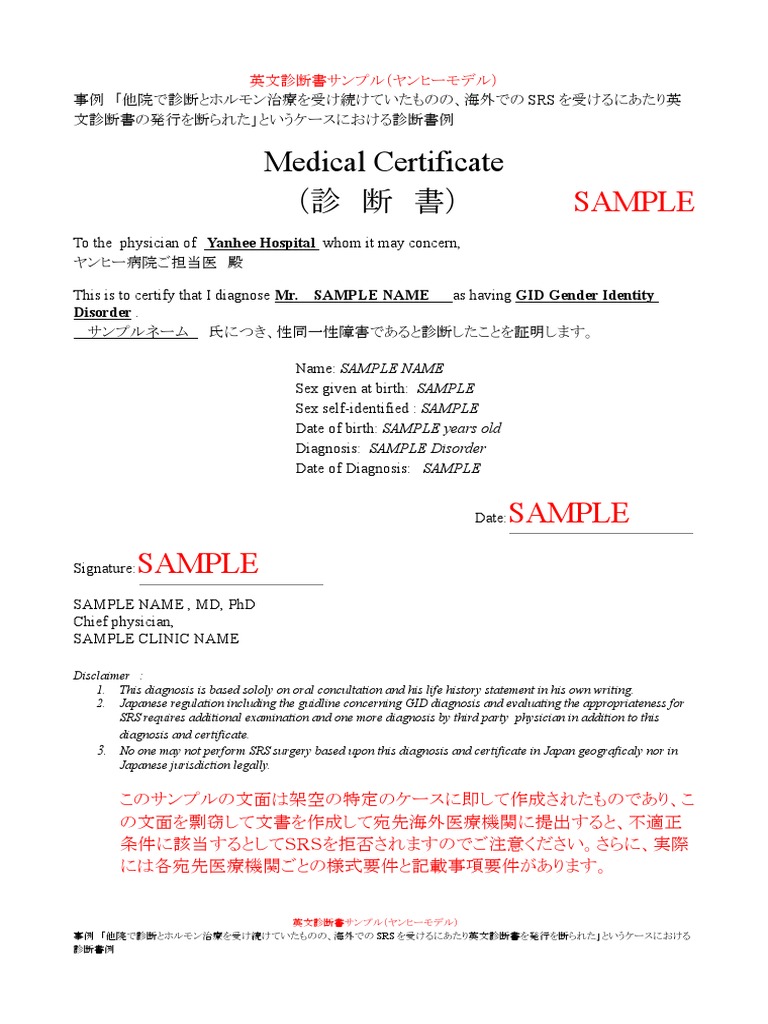 英文診断書 紹介状 意見書セット 診断書サンプル Pdf