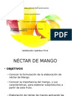 Procesos Nectar de Mango