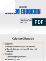12. Anat Endokrin