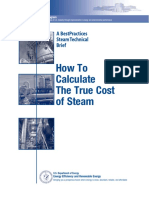How to Calculate the True Cost of Steam - Department of Energy.pdf