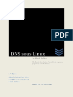 DNS Sous Linux- Lasfar Salim
