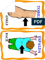 Body Parts 2 (Medium) PDF