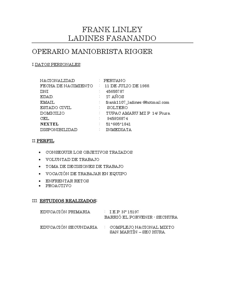 Rigger resume objective image