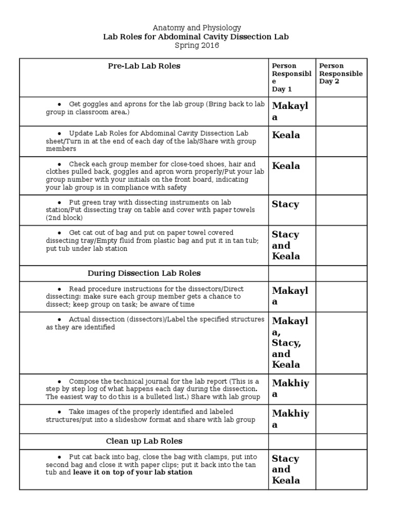 Abdominal Cavity Dissection Lab Roles | PDF