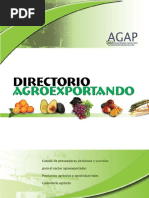 Download Directorio 2007 by AGAP Per SN336309980 doc pdf
