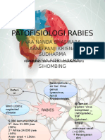 Patofisiologi Rabies