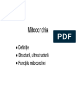 Mitocondria_07.pdf
