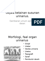 Kelainan Susunan Urinarius (2)