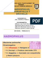 Haemophilus, Bordetella y Brucella