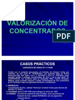 48768865-COMERCIALIZACION-DE-CONCENTRADOS.pdf